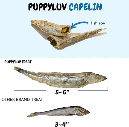 Puppyluv Treat - Freeze Dried Capelin Dog &amp; Cat Treats, Rich Fish Oil with Omega 3 Fatty Acides to Support Skin and Coat, Whole Fish, Grain Free, 2.3oz