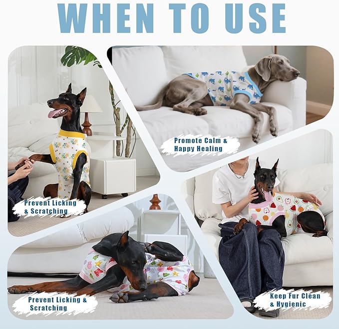 Recovery Suit for Dogs After Surgery, Professional Dog Surgical Suit for Female Spay, Male Neuter, E-Collar &amp; Cone Alternative Dog Onesie for Abdominal Wounds Skin Disease, Blue, M
