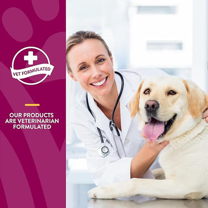 NaturVet – Glucosamine DS Plus - Level 2 Moderate Care – Supports Healthy Hip &amp; Joint Function – Enhanced with Glucosamine, MSM &amp; Chondroitin – for Dogs &amp; Cats–70 Soft Chews