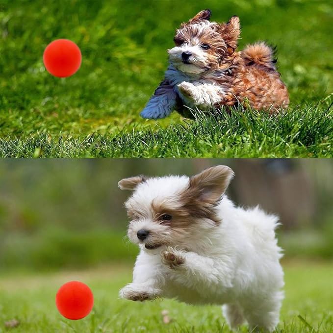 Puppy Balls - Pack with Different Functions &amp; Teething Toys for Small Dogs, Squeaky Dog Balls, Rubber Chew Toys for Enrichment