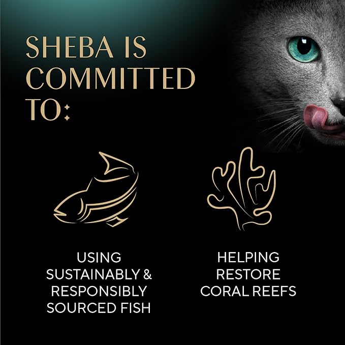 Sheba Perfect Portions Wet Cat Food Pate Savory Chicken, Roasted Turkey, with Sustainable Salmon, and Tender Whitefish &amp; Tuna Variety Pack, 2.6 oz. Twin-Pack Trays (48 Count, 96 Servings)