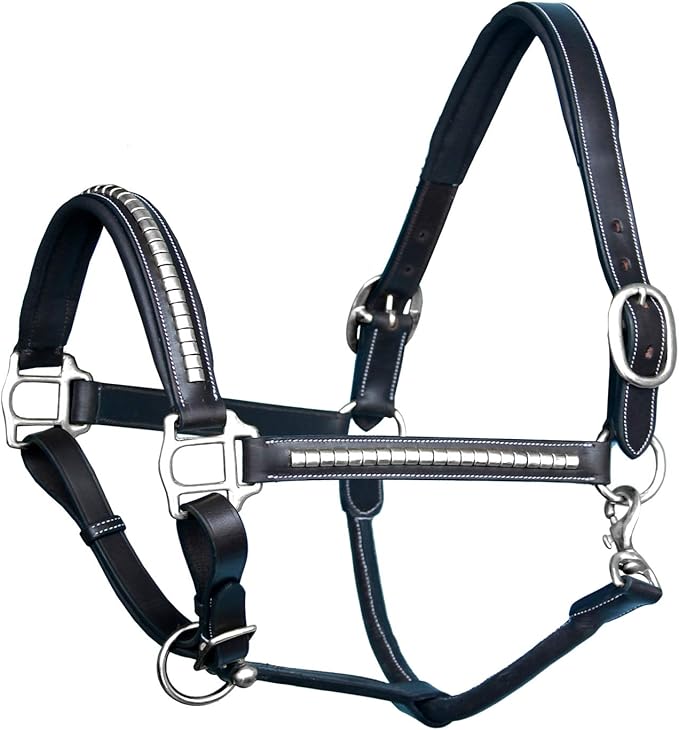 Exion Leather Horse Halter with Padding &amp; Clincher Studs – Adjustable Quick‑Release Crownpiece Halter for Horses – Vegetable‑Tanned Leather in Black &amp; Brown – Cob, Full &amp; Oversize