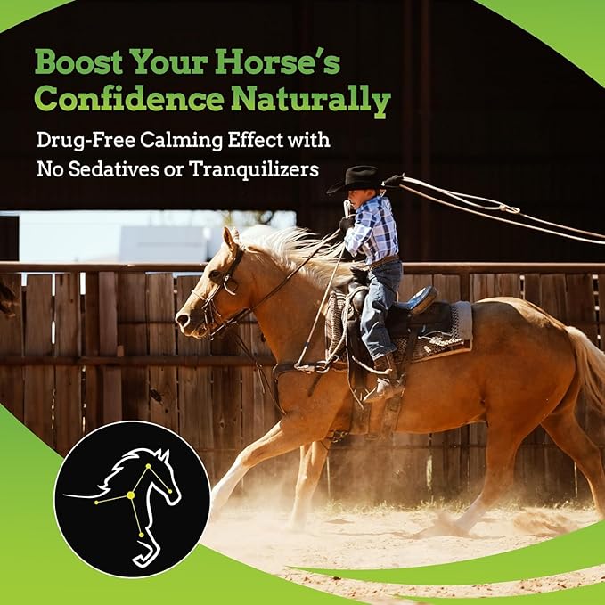 SynChill AF Calming Gel for Nervous Horses - Single Serving - Advanced Formula with L-Theanine, Increased Potency, 100% Natural Supplement, Disposition &amp; Confidence Support for Horses - 25 Pack