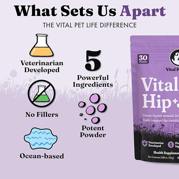 Vital Hip &amp; Joint Supplement for Dogs and Cats - Dog Joint Supplement, Mobility Support, Inflammation Defense, Green Lipped Mussels, Krill, Collagen for Dogs, Veterinarian Developed, 30 Packets
