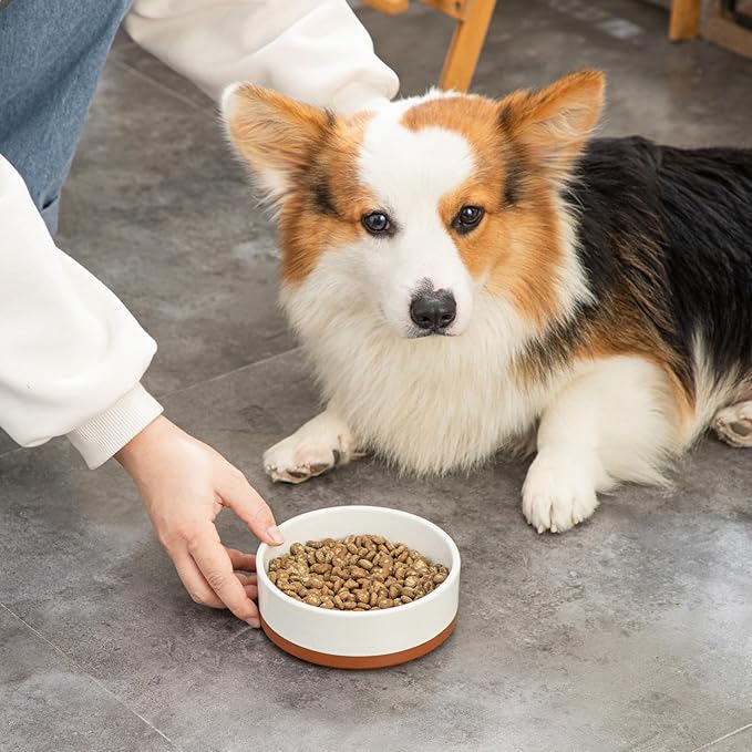 MALACASA Dog Bowls, Ceramic Dog Food and Water Bowls for Small Size Dogs, 1.5 Cups Capacity Pet Bowl for Puppy &amp; Cats (S-1.5 Cups)