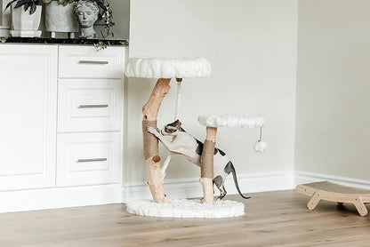 Mau Lifestyle Luxury Cat Tree: Modern Cat Condo &amp; Luxury Wood Cat Tower; Natural Branch Scratching Tree &amp; Cat Condo; Cat Gifts by Mau