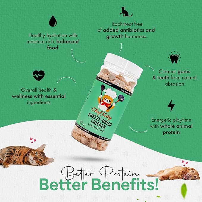 Freeze-Dried Chicken Treats for Cats &amp; Dogs – 100% Human Grade, Single Ingredient, High-Protein, Healthy Snack – No Additives or Preservatives – 1.7oz - Inspected &amp; Tested in USA