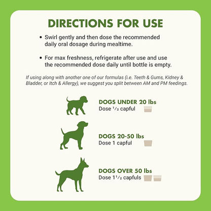 by Cool PET Holistics LVDJW-PR-04PK-16U Hip &amp; Joint Dog Joint Supplement, 16 oz