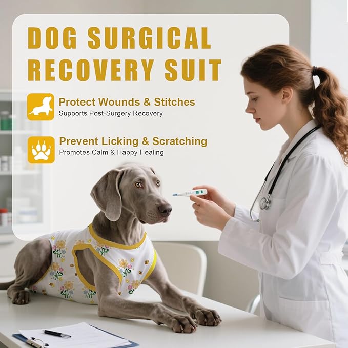 Recovery Suit for Dogs After Surgery, Professional Dog Surgical Suit for Female Spay, Male Neuter, E-Collar &amp; Cone Alternative Dog Onesie for Abdominal Wounds Skin Disease, Yellow, S