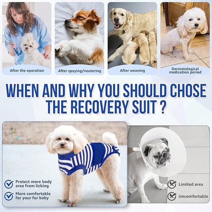 Lukovee Recovery Suit for Dogs - Zipper Onesie for Female &amp; Male Dogs, Abdominal Wounds Cone E-Collar Alternative, Prevent Licking - Spay Recovery Suit (Small, Blue &amp; White)