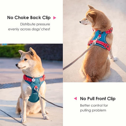 PHOEPET No Pull Dog Harness, Unique Colors Reflective Adjustable Dog Vest, with Soft Training Handle Metal Clips for Small Medium Large Dogs (Teal Base &amp; Red Straps,XL)