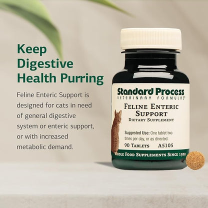 Standard Process Inc. Feline Enteric Support - 90 Tablets