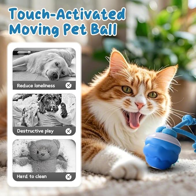 2026 New Interactive Pet Toy Ball, Smart Interactive Ball for Cats &amp; Dogs, Electric Rolling Pet Toy Ball, Rechargeable Interactive Cat Toys for Bored Indoor Cats Kittens to Keep Busy (Orange)