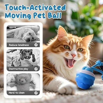 2026 New Interactive Pet Toy Ball, Smart Interactive Ball for Cats &amp; Dogs, Electric Rolling Pet Toy Ball, Rechargeable Interactive Cat Toys for Bored Indoor Cats Kittens to Keep Busy (Orange)