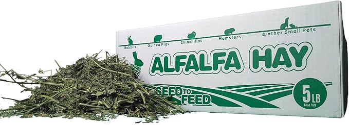 High Desert Alfalfa Hay for Rabbits, Guinea Pigs, Chinchillas &amp; Small Pets – Protein-Rich Natural Hay for Young, Growing Animals – High-Fiber, Hand-Packed, Additive-Free, Grown in USA – 5 lb Box