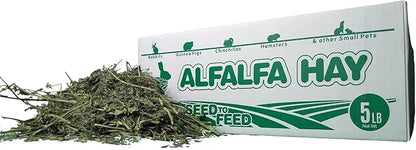 High Desert Alfalfa Hay for Rabbits, Guinea Pigs, Chinchillas &amp; Small Pets – Protein-Rich Natural Hay for Young, Growing Animals – High-Fiber, Hand-Packed, Additive-Free, Grown in USA – 5 lb Box