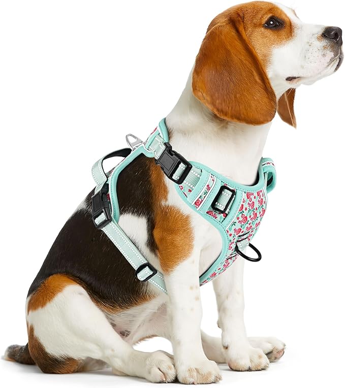 Timos No Pull Dog Harness, Release at Neck Reflective 3 Snap Buckles Adjustable No Choke Pet Vest with Front &amp; Back 2 Leash Clips, Soft Padded Control Training Handle for Small Medium Large Dogs