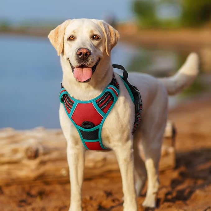 rabbitgoo Dog Harness No Pull with 2 Leash Clips, Adjustable Soft Padded, Reflective Oxford No Choke Pet Vest with Easy Control Handle for Medium Sized Dogs, Red &amp; Teal, M