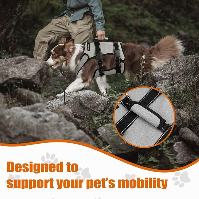 Ayquez Dog Lift Harness with Storage and Transport Bag, Dog Harness with Handle for Lifting &amp; Hip dysplasia, arnés para Perros pequeños, pechera para Perros (Gray, M)