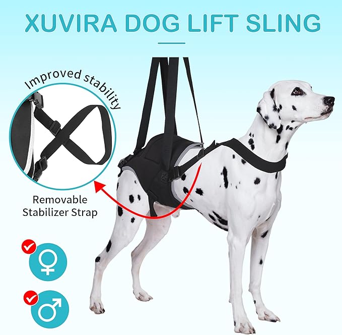 Dog Hip Support Brace – Rear Leg Lift Harness for Mobility &amp; Post-Surgery Recovery, with Chest Straps and Adjustable Elastic Buckles, Customization