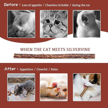 Silvervine Sticks for Cats, 30PCS Kitten Toys Catnip Toys Matatabi Silvervine Sticks Kitty Chew Toys Wooden Stick Kitten Teething Toys Molar Suitable for Cats of All Ages