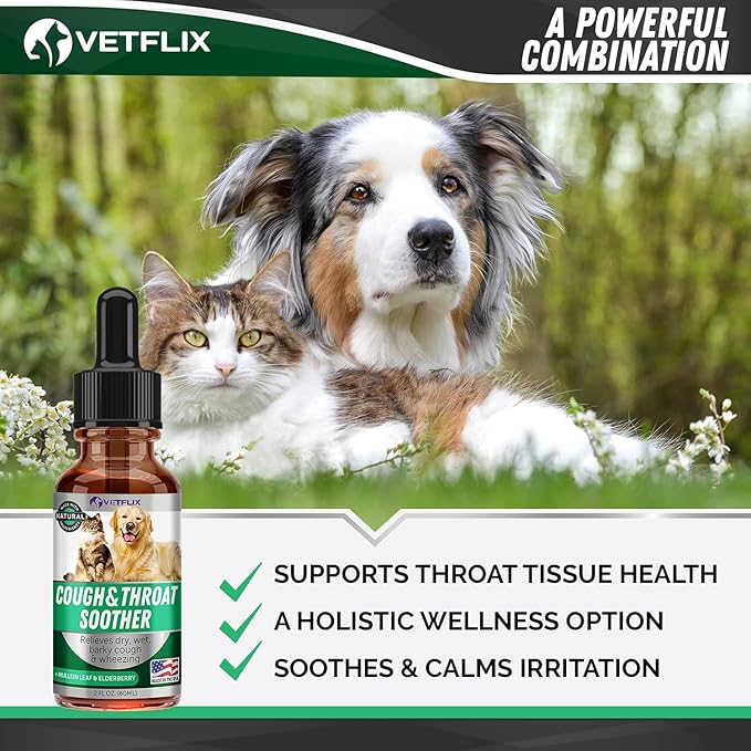 Kennel Cough Treatment for Dogs &amp; Cats - Made in USA - Dog Allergy &amp; Cat Asthma Relief - Mullen Leaf &amp; Elderberry Blend - Dry, Wet &amp; Barky Cough Relief for Dogs &amp; Cats - All Breeds &amp; Sizes - 2 Fl Oz