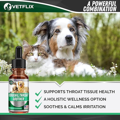 Kennel Cough Treatment for Dogs &amp; Cats - Made in USA - Dog Allergy &amp; Cat Asthma Relief - Mullen Leaf &amp; Elderberry Blend - Dry, Wet &amp; Barky Cough Relief for Dogs &amp; Cats - All Breeds &amp; Sizes - 2 Fl Oz