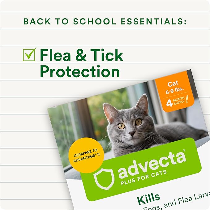 Plus Flea Prevention for Cats, Cat and Kitten Treatment &amp; Control, Small and Large, Fast Acting Waterproof Topical Drops, 2 Month Supply