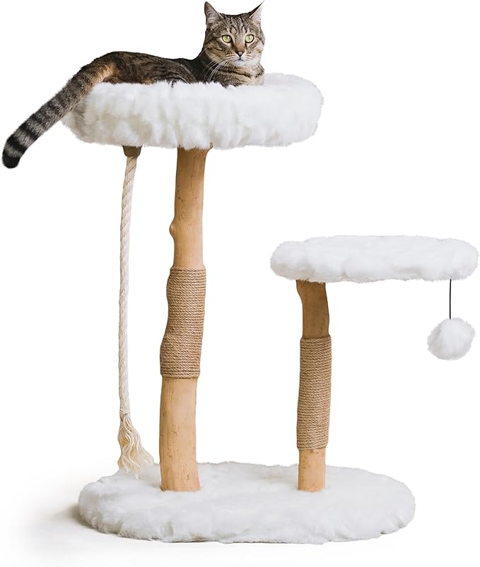 Mau Lifestyle Luxury Cat Tree: Modern Cat Condo &amp; Luxury Wood Cat Tower; Natural Branch Scratching Tree &amp; Cat Condo; Cat Gifts by Mau