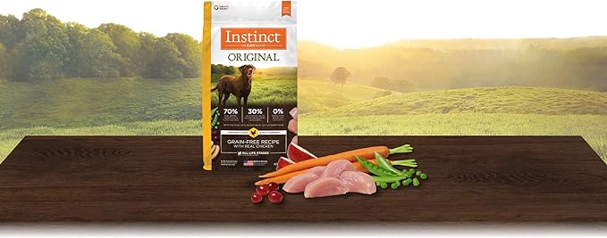 Original Chicken Dry Dog Food, 4 lb. Bag