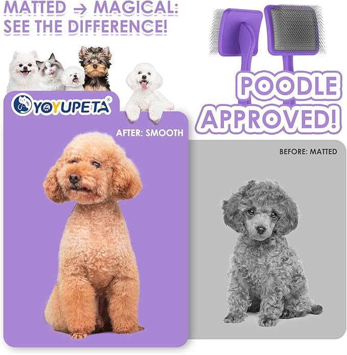 Large Slicker Brush for Dogs - 3PC Pet Grooming Kit - Undercoat Rake &amp; Stainless Comb | Long Pins Remove Mats on Poodles, Golden, Labradoodles | Thick Coat Deshedder for Dogs, Cats, Purple
