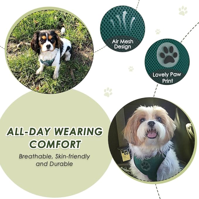 Lukovee Dog Seat Belt for Car, Adjustable Dog Car Harness for Large Medium Small Dogs, Soft Padded &amp; Breathable Mesh Dog Seatbelt with Car Strap and Carabiner((Double Clip 2 in 1),Medium)