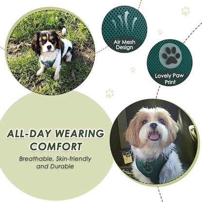 Lukovee Dog Seat Belt for Car, Adjustable Dog Car Harness for Large Medium Small Dogs, Soft Padded &amp; Breathable Mesh Dog Seatbelt with Car Strap and Carabiner((Double Clip 2 in 1),Medium)