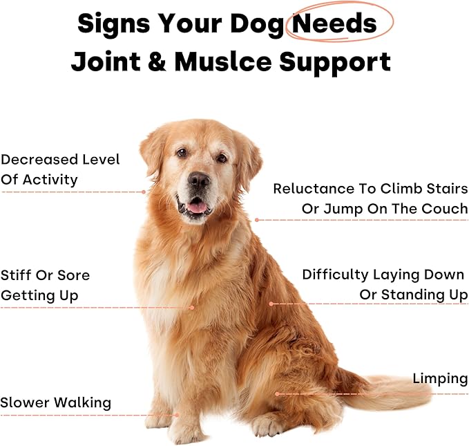 Joint &amp; Recovery | 2-in-1 Joint &amp; Muscle Chews. Help Reduce Pain &amp; Increase Daily Activity. Helps with Arthritis and Pain Prevention. Tasty Trout Flavor.