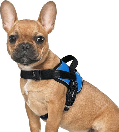 rabbitgoo Dog Harness for Small, Easy On Pet Vest with One Buckle, No Pull Adjustable Service Harness with D-Ring &amp; Handle, Reflective for Safety Walking, Training, Blue, S