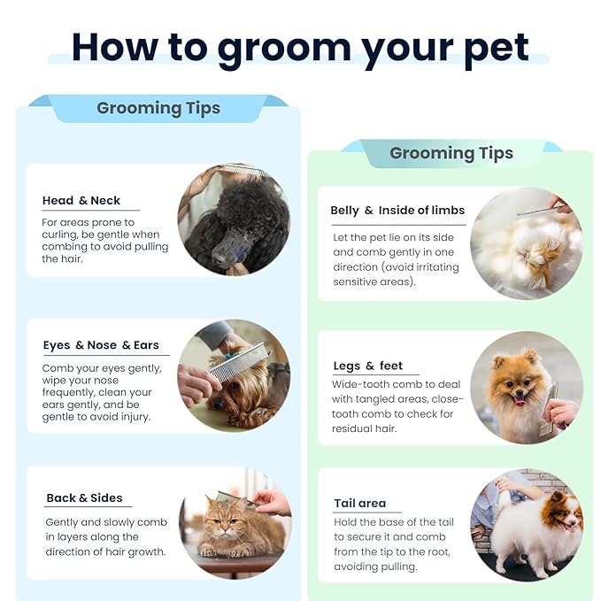 [3 Pack] Stainless Steel Pet Comb Set – Grooming Combs for Dogs &amp; Cats, Large Medium Small Sizes – for Long, Short, Curly Hair, Detangling Matted or Knotted Undercoat Hair