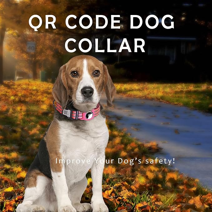 Reflective Dog Collar with Apple AirTag Holder &amp; QR Code Pet ID Tag,Soft Nylon Adjustable Dog Tracker Collar with Safety Lock for Medium Dogs (Rose Red, M)