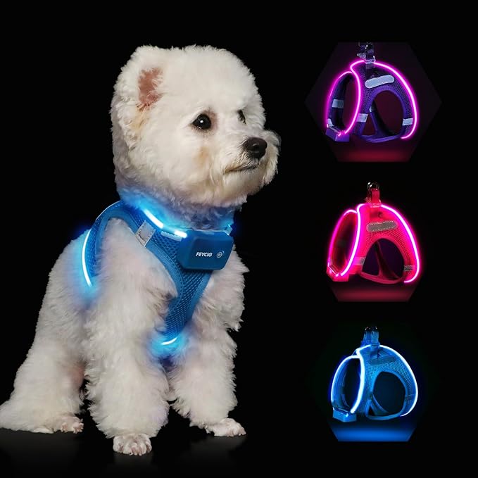 Light Up Dog Harness,Rechargeable LED Dog Harness for Small Medium Large Dogs,Reflective Lighted Safety Vest for Night Walking &amp; Camping,Lightweight &amp; Adjustable,Blue,S