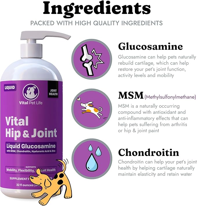 Liquid Glucosamine for Dogs Cats &amp; Horses with Chondroitin, MSM, and Hyaluronic Acid, Hip &amp; Joint Supplement for Mobility &amp; Comfort, Supports Joint Health &amp; Flexibility, Mobility, &amp; Protection, 32 oz