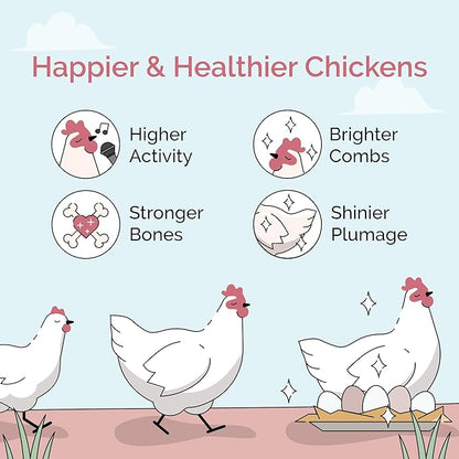 Organic Chicken Feed – Layer Mash, Non-GMO, USA Grown, 16% Protein, Corn-Free, Soy-Free, Non-Medicated Feed for Chickens, 46 lbs