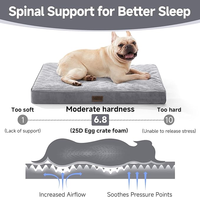 OhGeni Orthopedic Waterproof &amp; Machine Washable Dog Bed for Small Medium Pets, Suitable for Crates, Cat Mat with 25D Egg Crate Foam, Removable Cover &amp; Invisible Zipper, 30 Inches(Gray)