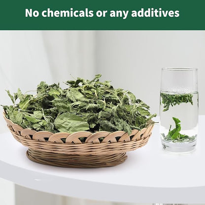 Nature Treats for Small Animals Dried Mint Leave 12 OZ - Dust Free Natural Green Fresh for Pets Rabbits, Rich in nutrients Alleviate Digestive Improve The Oral Health of Pets