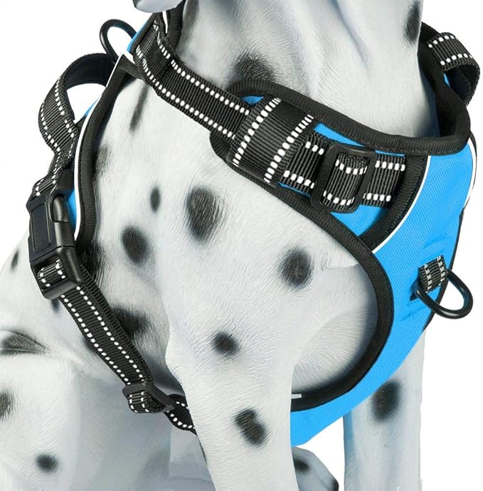 PoyPet No Pull Dog Harness, Reflective Comfortable Vest Harness with Front &amp; Back 2 Leash Attachments and Easy Control Handle Adjustable Soft Padded Pet Vest for Small to Large Dogs (Blue,S)