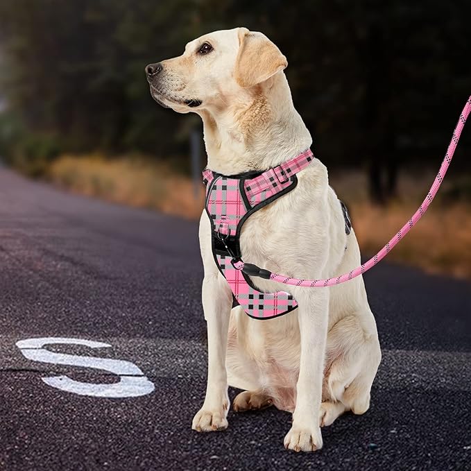 IVY&amp;LANE No Pull Dog Harness with Leash Set, Reflective No Choke Pet Vest,Adjustable Oxford Dog Vest Harness with Easy Control Handle for Medium Lagre Dogs (Checkered Pink,M)