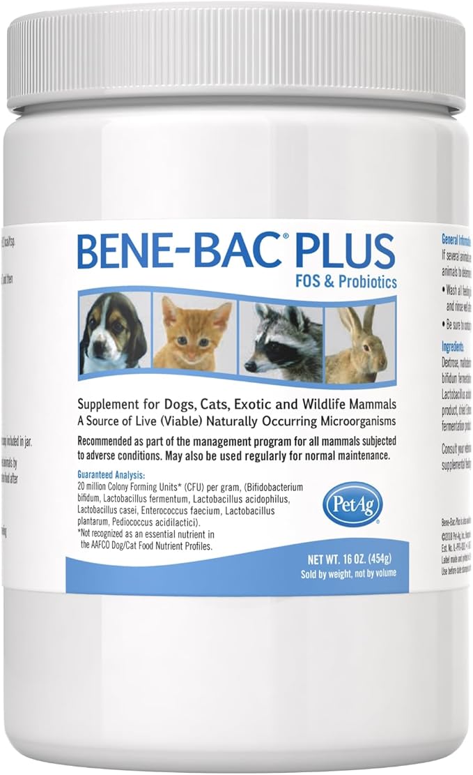 PetAg Bene-Bac Plus - 1 lb Powder - FOS &amp; Probiotics for Dogs, Cats, Exotic &amp; Wildlife Mammals
