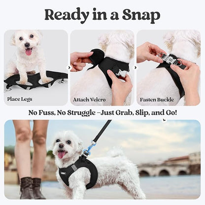 rabbitgoo Dog Harness Small Sized and Leash Set, Step in Soft Light Puppy Vest, Breathable Mesh Pet Harness, Reflective for Safe Easy Walking, Black S