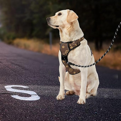 IVY&amp;LANE No Pull Dog Harness with Leash Set, Reflective No Choke Pet Vest,Adjustable Oxford Dog Vest Harness with Easy Control Handle for Large Dogs (Dark Brown,XL)