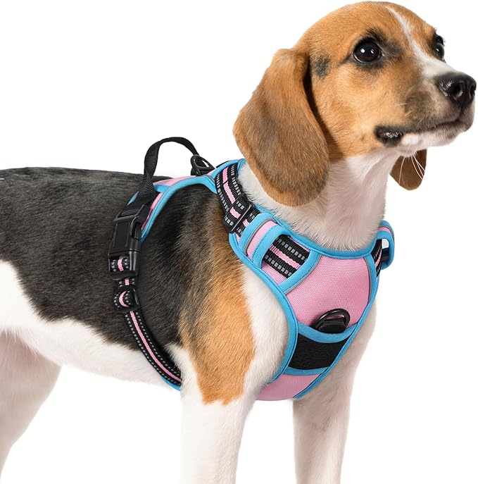 rabbitgoo Dog Harness No Pull with 2 Leash Clips, Adjustable Soft Padded, Reflective Oxford No Choke Pet Vest with Easy Control Handle for Medium Sized Dogs, Pink &amp; Blue, M