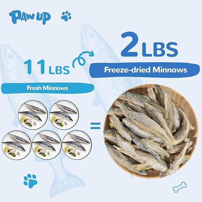 Freeze Dried Minnows Cat Treats – 100% Natural, Single-Ingredient Pet Snacks – Rich in Omega-3, Grain-Free – Healthy Training Rewards &amp; Meal Toppers for Dogs &amp; Cats, 2.8 oz