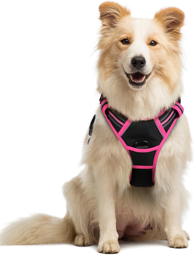 rabbitgoo Dog Harness No Pull with 2 Leash Clips, Adjustable Soft Padded, Reflective Oxford No Choke Pet Vest with Easy Control Handle for Large Dogs, Black &amp; Hot Pink, M